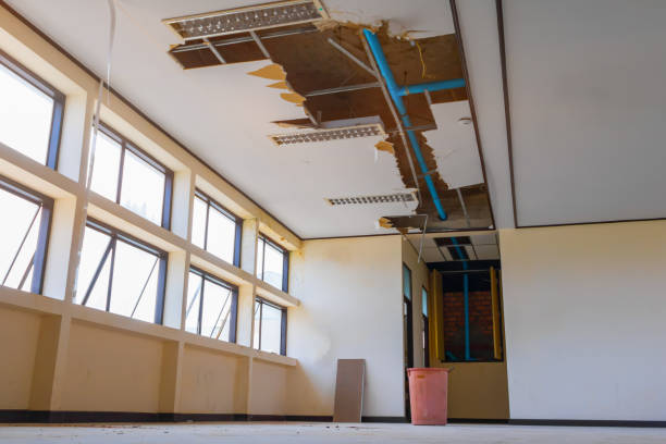Best Sewage cleanup and water damage restoration  in South Sumter, SC