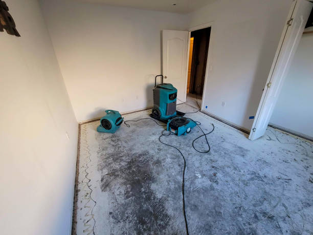 Best 24-hour water damage restoration  in South Sumter, SC