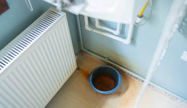 Best Ceiling water damage repair  in South Sumter, SC