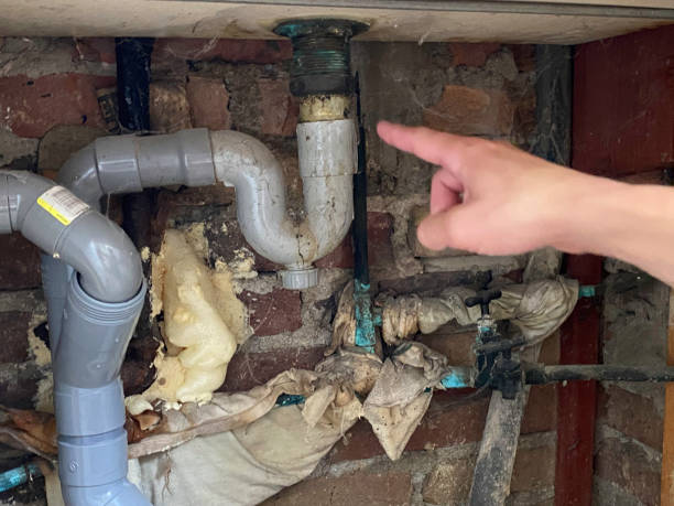Best Water damage mitigation services  in South Sumter, SC