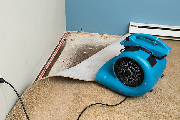 Best Sewage cleanup and water damage restoration  in South Sumter, SC