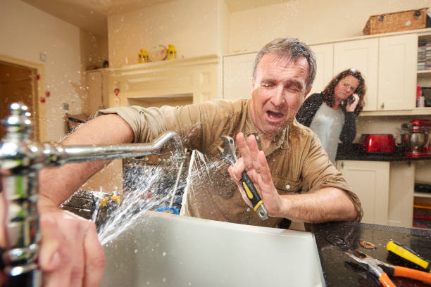 Best Flood restoration services  in South Sumter, SC